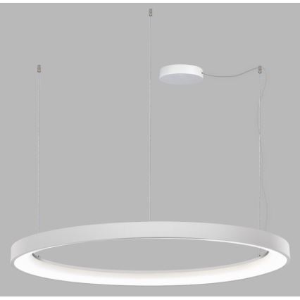 LED2 - LED Zatemnitveni lestenec na vrvici BELLA LED/80W/230V 3000K/4000K bel