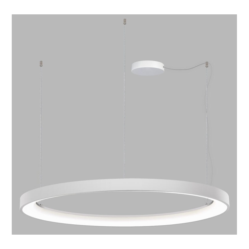 LED2 - LED Zatemnitveni lestenec na vrvici BELLA LED/80W/230V 3000K/4000K bel