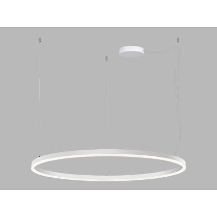 LED2 - LED Zatemnitveni lestenec na vrvici CIRCLE LED/80W/230V 3000K/4000K pr. 100 cm bela