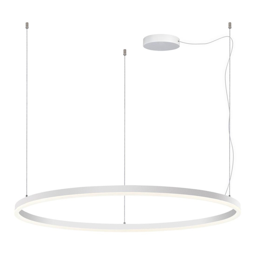 LED2 - LED Zatemnitveni lestenec na vrvici CIRCLE LED/80W/230V 3000K/4000K pr. 100 cm bela