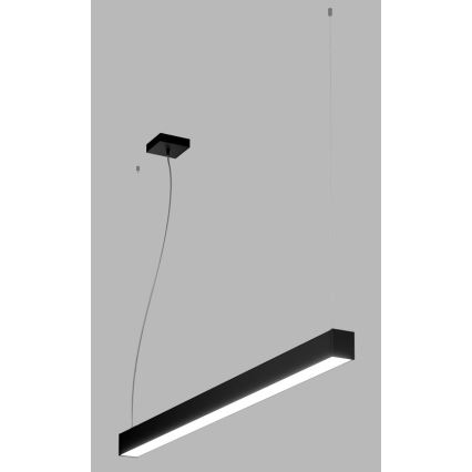 LED2 - LED Zatemnitveni lestenec na vrvici NOLI LED/40W/230V 3000K/3500K/4000K črn