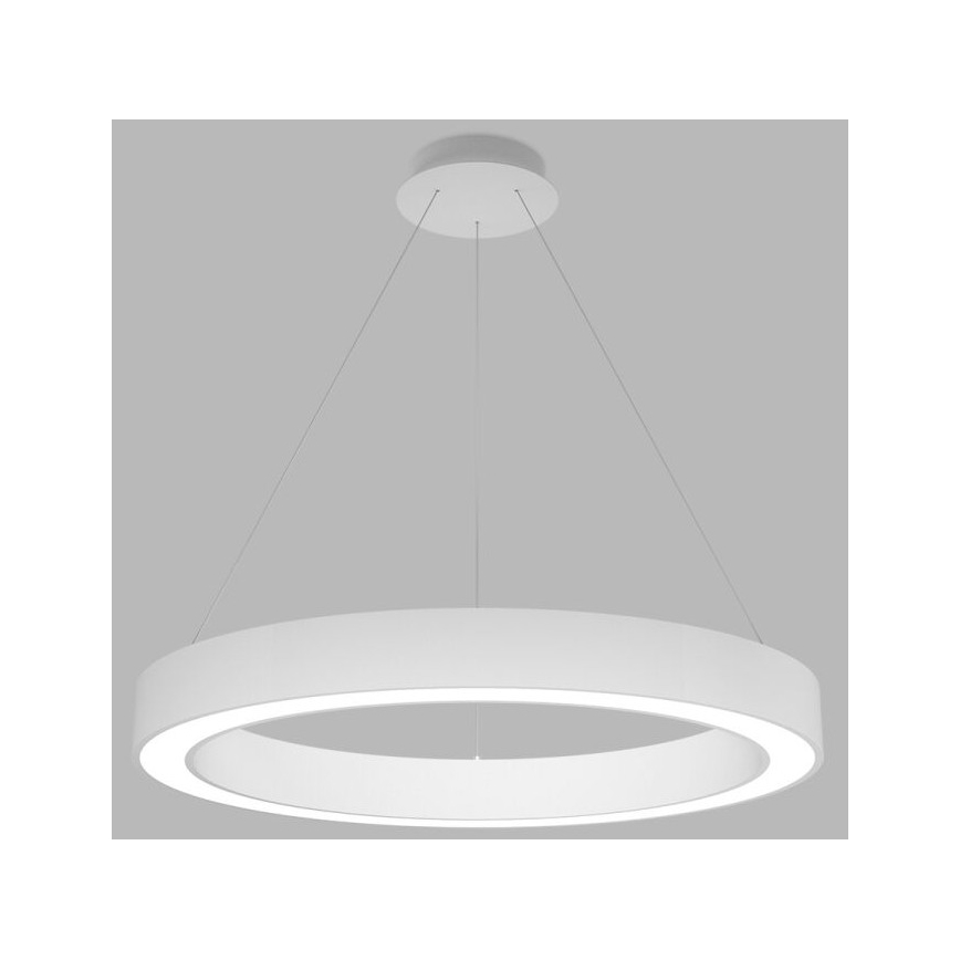 LED2 - LED Zatemnitveni lestenec na vrvici SATURN LED/60W/230V 3000K/4000K bel