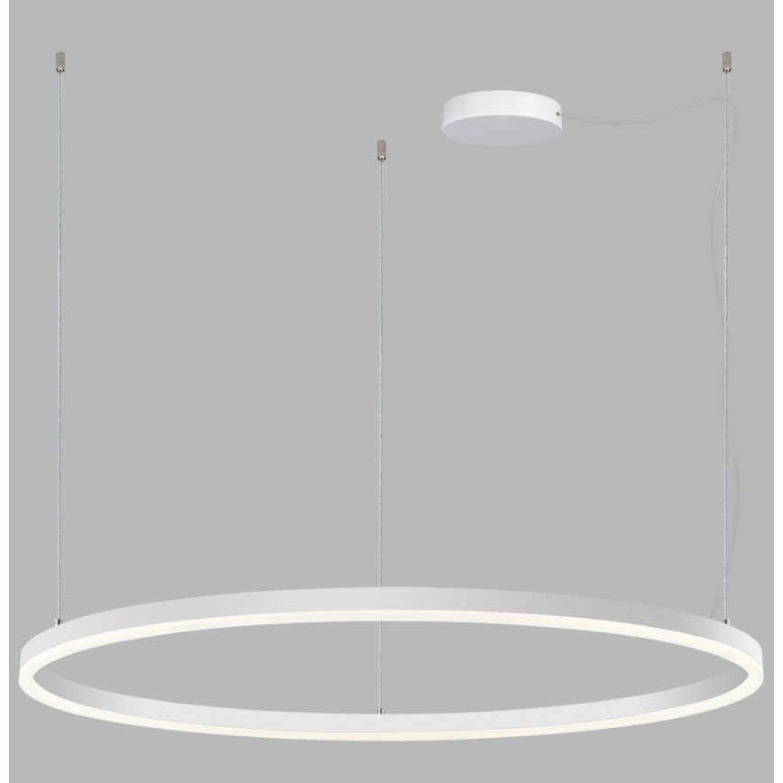 LED2 - LED Zatemnitveni lestenec na vrvici SATURN LED/80W/230V d. 100 cm bel