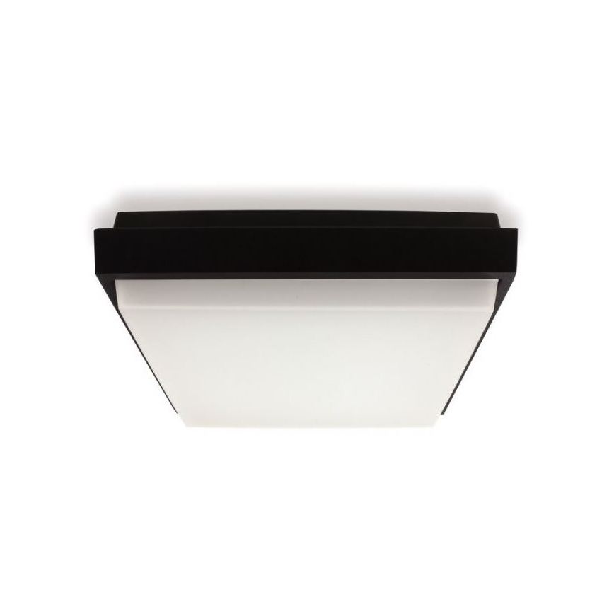 LED2 - LED Zunanja stropna svetilka QUADO LED/10W/230V antracit IP54