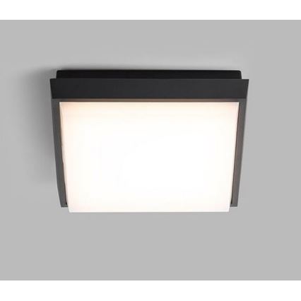 LED2 - LED Zunanja stropna svetilka QUADO LED/10W/230V antracit IP54