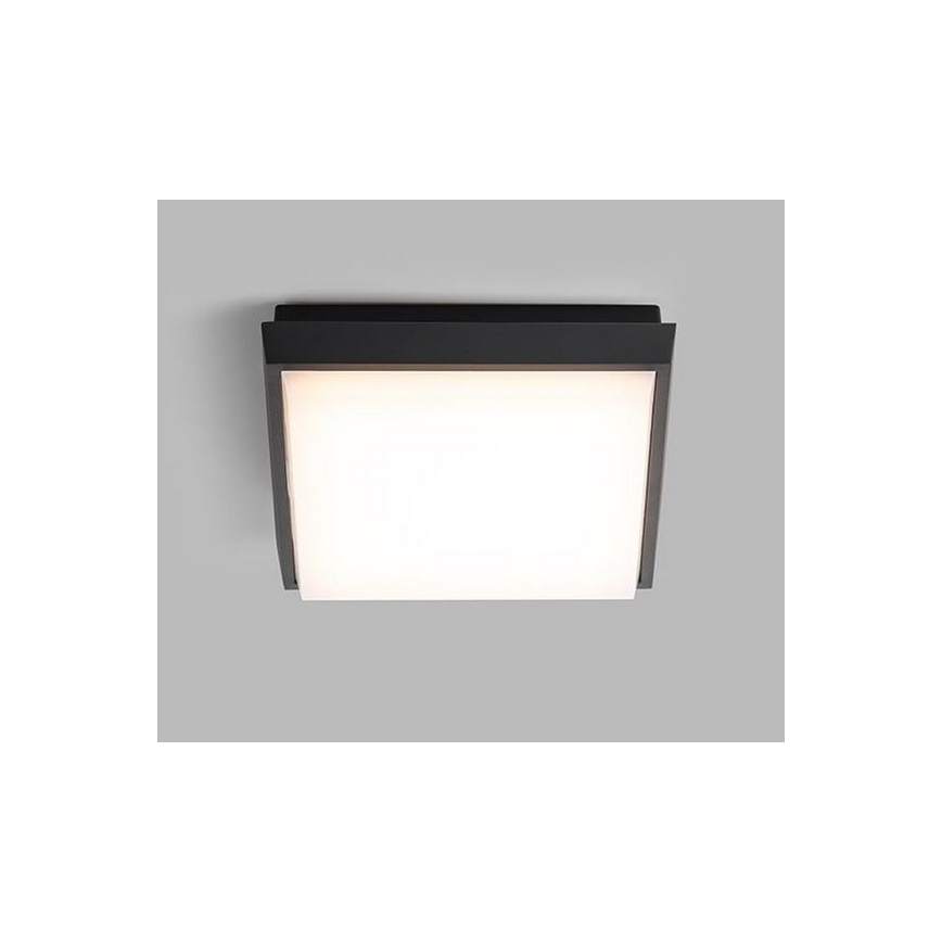 LED2 - LED Zunanja stropna svetilka QUADO LED/10W/230V antracit IP54