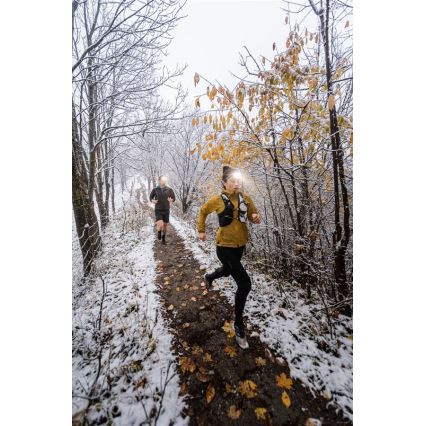 Ledlenser NEO5R - zatemnjevalna polnilna LED naglavna svetilka 1800 mAh IP54 600 lm 35 h črna/bela