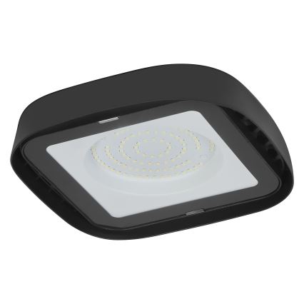 Ledvance - LED Industrijska stropna svetilka HIGHBAY LED/80W/230V IP65 6500K