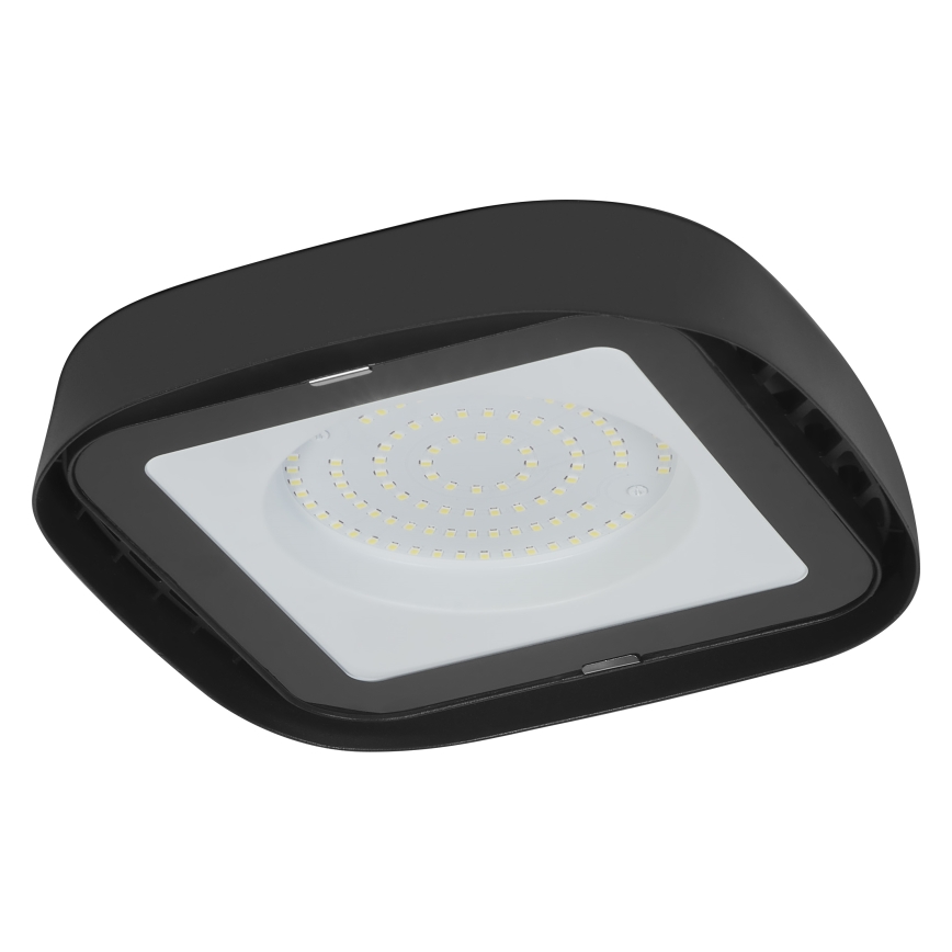Ledvance - LED Industrijska stropna svetilka HIGHBAY LED/80W/230V IP65 6500K