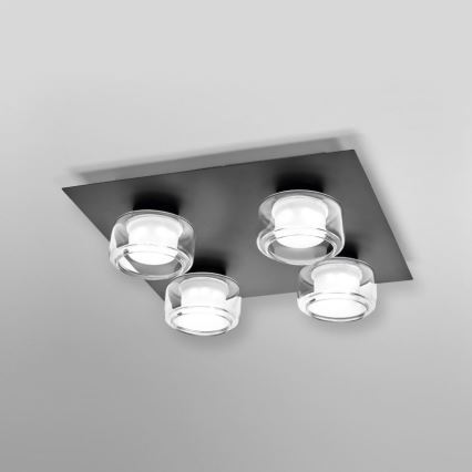 Ledvance - LED Kopalniška stropna svetilka ORBIS FLAME 4xLED/5,5W/230V 3000/4000K IP44 črna