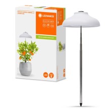 Ledvance - LED Notranja svetilka za rastline GARDEN LIGHT LED/5W/5V