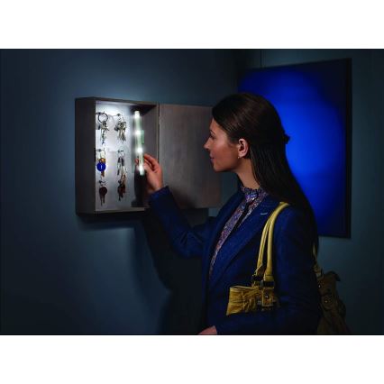 Ledvance - LED Orientacijska svetilka LUMISTIXX 4xLED/0,6W/4,5V