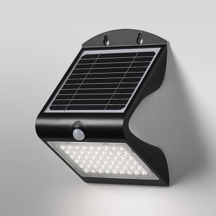 Ledvance - LED Solarna stenska svetilka s senzorjem METULJ LED/4W/3,7V IP65