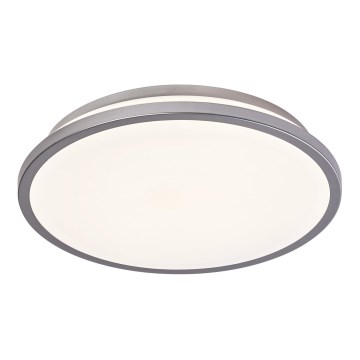 Ledvance - LED Stropna svetilka ORBIS DUBLIN LED/16W/230V pr. 29,5 cm