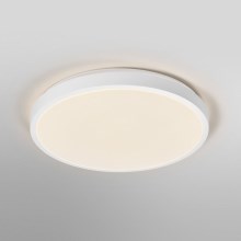 Ledvance - LED Stropna svetilka ORBIS LONDON LED/36W/230V bela