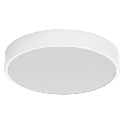 Ledvance - LED Stropna svetilka ORBIS SLIM LED/20W/230V bela