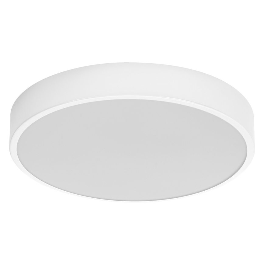 Ledvance - LED Stropna svetilka ORBIS SLIM LED/20W/230V bela