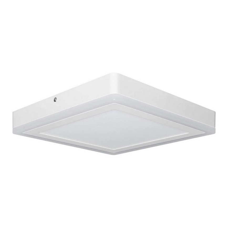 Ledvance - LED Stropna svetilka SQUARE LED/18W/230V