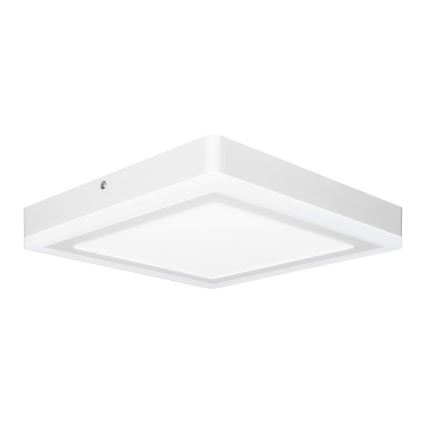 Ledvance - LED Stropna svetilka SQUARE LED/18W/230V