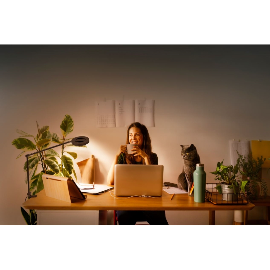 Ledvance - LED Zatemnitvena svetilka s sponko SUN@HOME LED/15W/230V 2200-5000K CRI 95 Wi-Fi