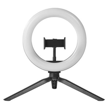 Ledvance - LED Zatemnitvena namizna svetilka s stojalom in držalom za vlogging LED/5,5W/USB 3000/4000/6500K
