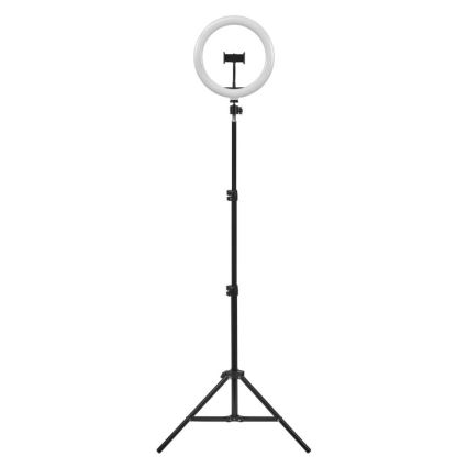 Ledvance - LED Zatemnitvena talna svetilka s stojalom in držalom za vlogging LED/6W/USB 3000/4000/6500K