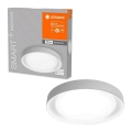 Ledvance - LED Zatemnitvena svetilka SMART+ EYE LED/32W/230V 3,000K-6,500K Wi-Fi