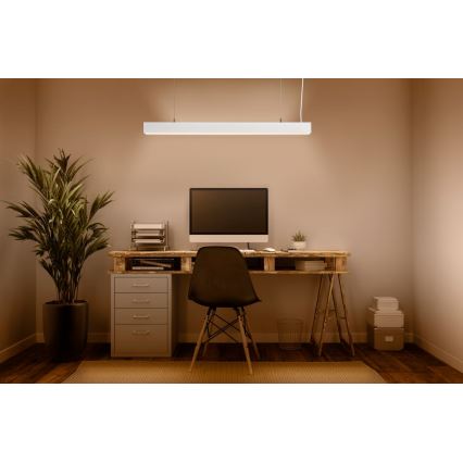 Ledvance - LED Zatemnitveni lestenec na vrvici SUN@HOME LED/50W/230V 2200-5000K CRI 95 Wi-Fi