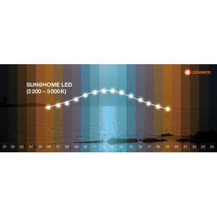 Ledvance - LED Zatemnitveni panel SUN@HOME LED/35W/230V 2200-5000K CRI 95 Wi-Fi