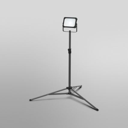 Ledvance - LED Zatemnitveni reflektor z držalom WORKLIGHT TRIPOD LED/20W/3,7V IP54
