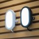 Ledvance - LED Zunanja stenska svetilka BULKHEAD LED/6W/230V IP54 bela