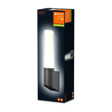 Ledvance - LED Zunanja stenska svetilka FLARE 1xLED/7W/230V IP44