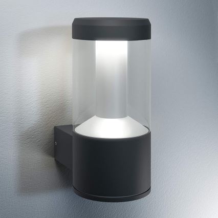 Ledvance - LED Zunanja stenska svetilka LANTERN 1xLED/12W/230V IP44