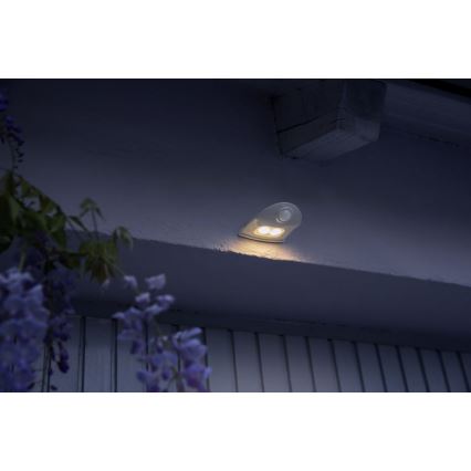 Ledvance - LED Zunanja stenska svetilka s senzorjem DOORLED LED/1W/3xAA IP54