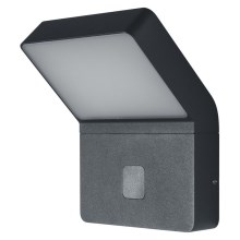 Ledvance - LED Zunanja stenska svetilka s senzorjem ENDURA LED/12W/230V IP44