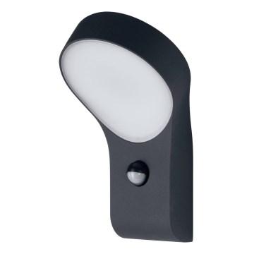 Ledvance - LED Zunanja stenska svetilka s senzorjem ENDURA LED/8W/230V IP44