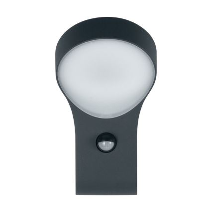 Ledvance - LED Zunanja stenska svetilka s senzorjem ENDURA LED/8W/230V IP44