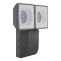 Ledvance - LED Zunanja stenska svetilka s senzorjem SPOT 2xLED/8W/230V IP55