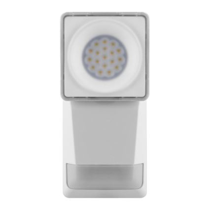 Ledvance - LED Zunanja stenska svetilka s senzorjem SPOT LED/8W/230V IP55 bela