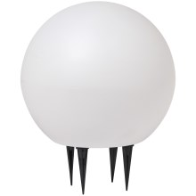 Ledvance - LED Zunanja svetilka ENDURA HYBRID BALL LED/2W/12V IP44
