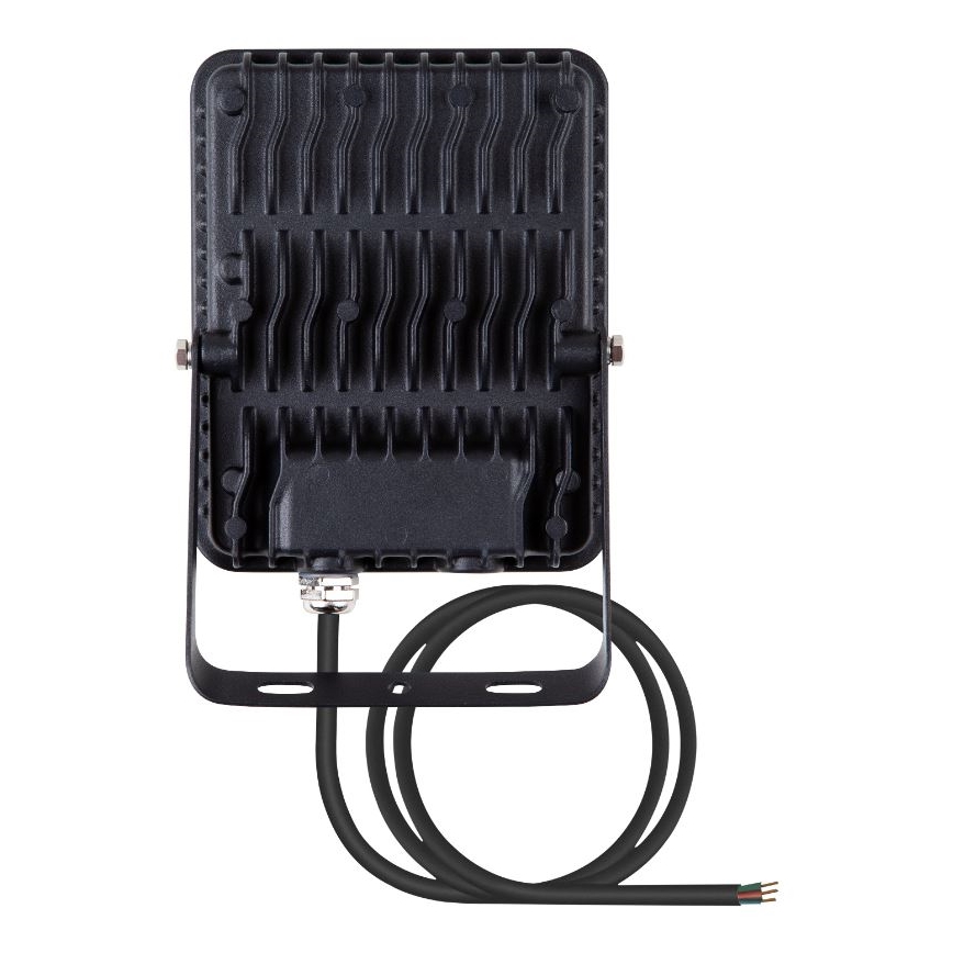 Ledvance - LED Zunanji stenski reflektor FLOODLIGHT ESSENTIAL LED/30W/230V 4000K IP65