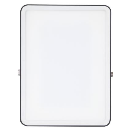 Ledvance - LED zunanji stenski reflektor FLOODLIGHT LED/50W/230V IP65