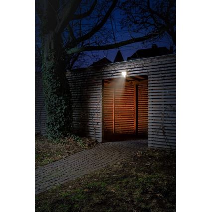 Ledvance - LED Zunanji stenski reflektor s senzorjem FLOOD LED/27W/230V IP55