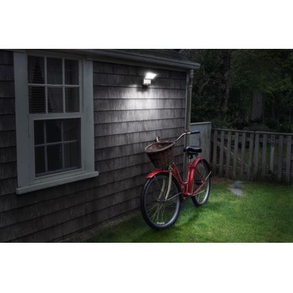 Ledvance - LED Zunanji stenski reflektor s senzorjem SPOTLIGHT LED/4W/4xD IP54