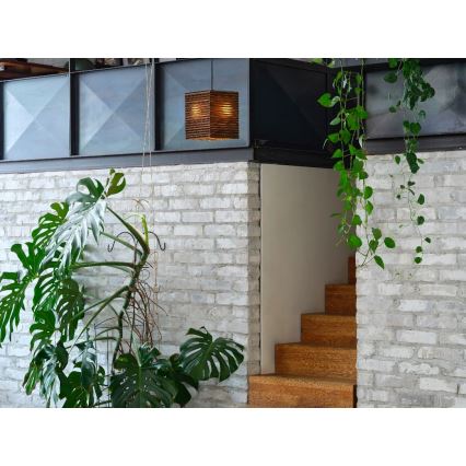 Ledvance - Lestenec na vrvici DECOR CARDBOARD 1xE27/15W/230V 25x25 cm