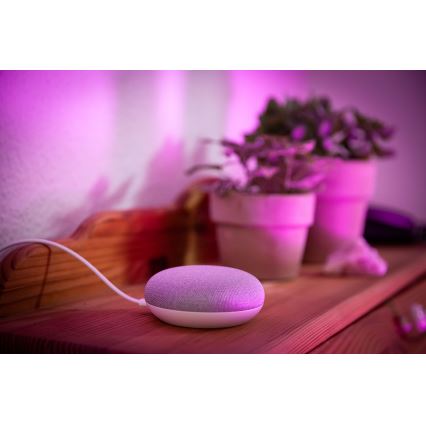 Ledvance - Pametni zvočnik Google Nest Mini + LED RGBW Zatemnitvena žarnica SMART+E27/10W/230V 2000-6500K
