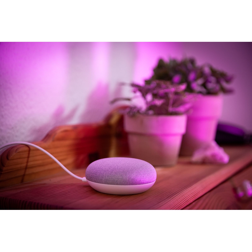 Ledvance - Pametni zvočnik Google Nest Mini + LED RGBW Zatemnitvena žarnica SMART+E27/10W/230V 2000-6500K