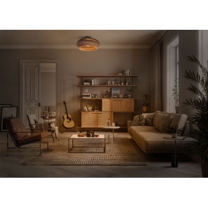 Ledvance - Stropna svetilka DECOR CARDBOARD 1xE27/15W/230V pr. 40 cm