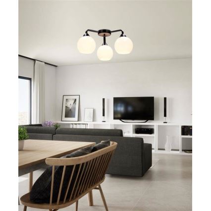 Lestenec CALDERA 3xE27/60W/230V črna