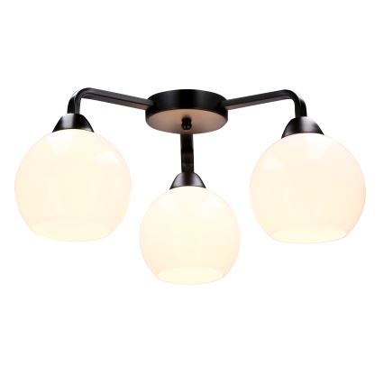 Lestenec CALDERA 3xE27/60W/230V črna